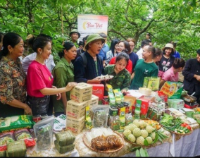 Thái Nguyên: Phát triển dự án liên kết sản xuất theo chuỗi giá trị lĩnh vực nông nghiệp